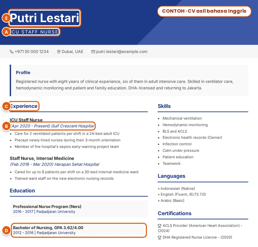 Contoh: CV fiktif berbahasa Inggris milik Putri Lestari; jabatan, tanggal, judul bagian, gelar sarjana, dan nama ditandai A sampai E