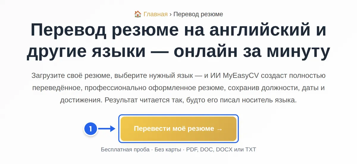 Страница переводчика резюме MyEasyCV, кнопка «Перевести моё резюме» отмечена как шаг 1