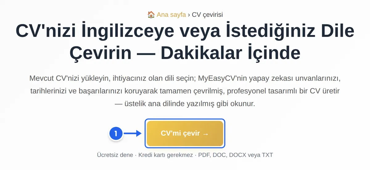 MyEasyCV CV çeviri sayfası; CV'mi çevir düğmesi 1. adım olarak işaretli