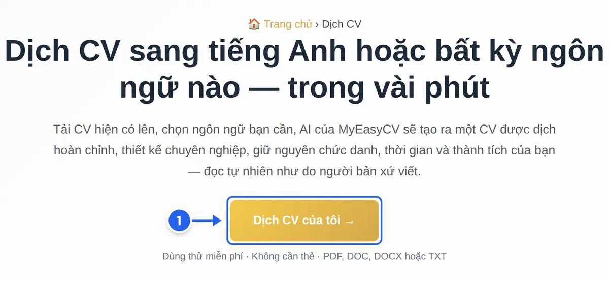 Trang Dịch CV của MyEasyCV; nút “Dịch CV của tôi” được đánh dấu là bước 1