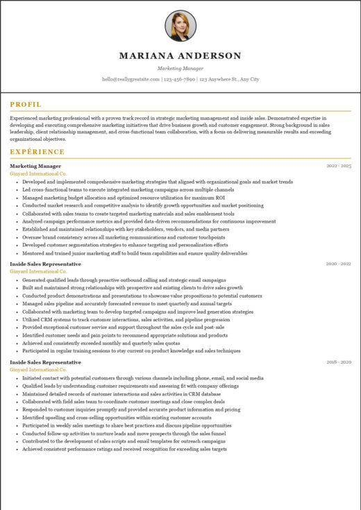 Classic CV template