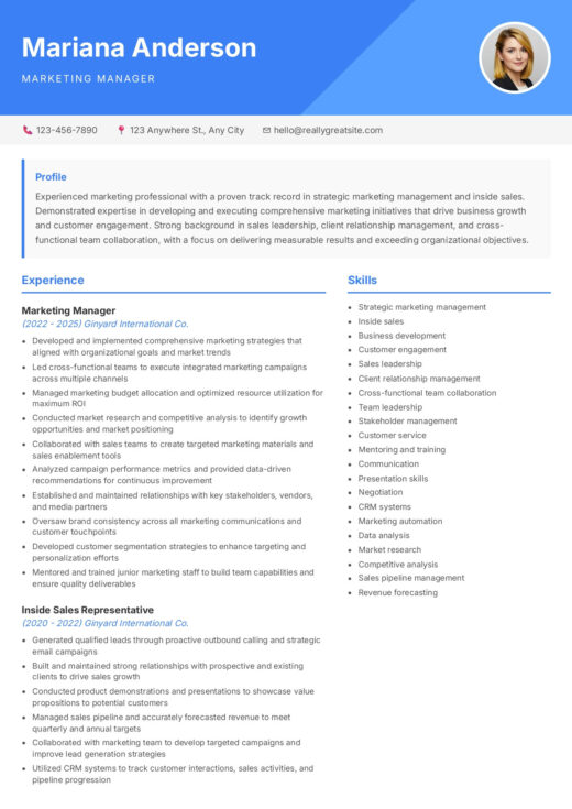 Palmerston CV template
