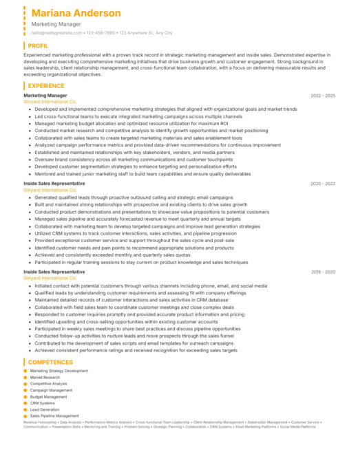 Timeline CV template