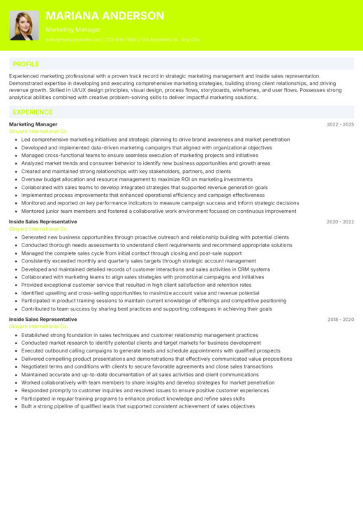 Professional CV template