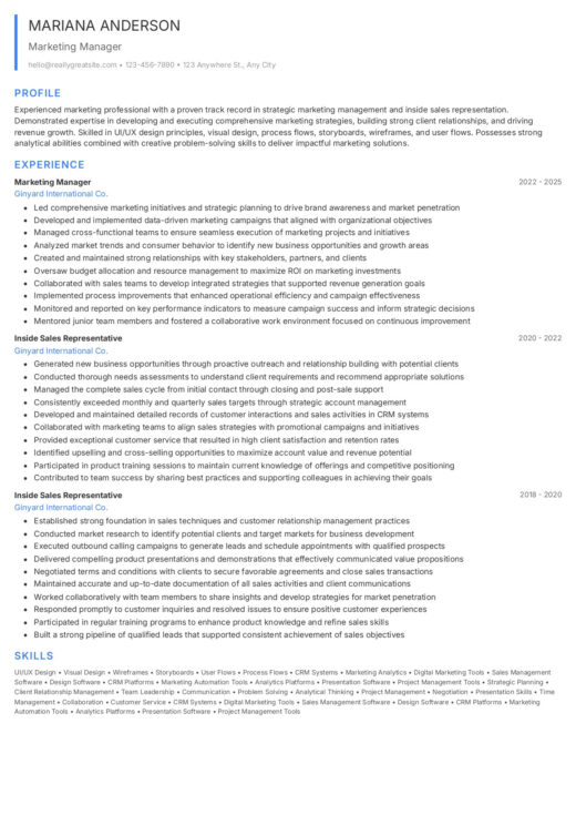 Minimalist CV template
