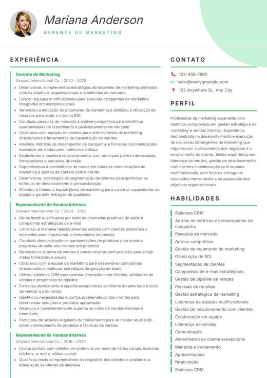 Silva CV template
