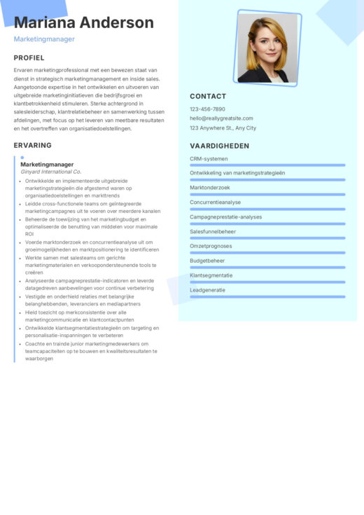 Stewart CV template