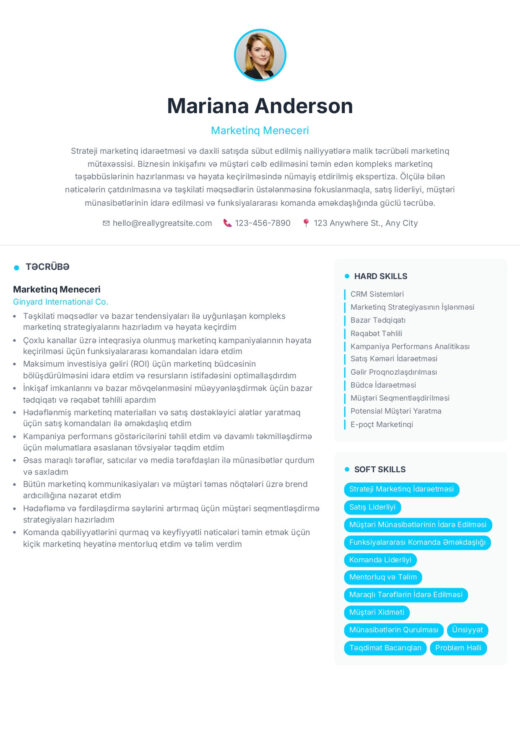Tribianni CV template