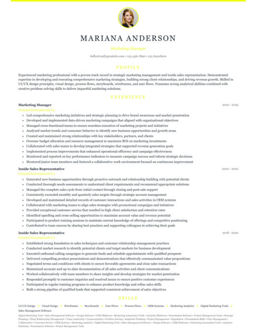 Elegant CV template